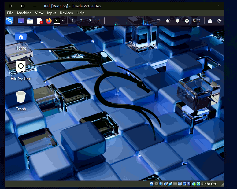 kali8